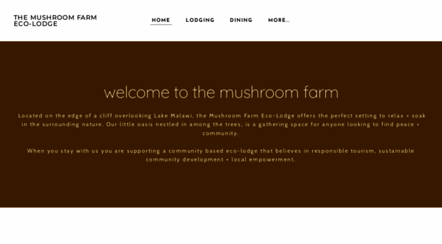 themushroomfarmmalawi.com