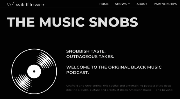 themusicsnobs.com