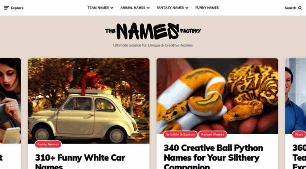 thenamesfactory.com