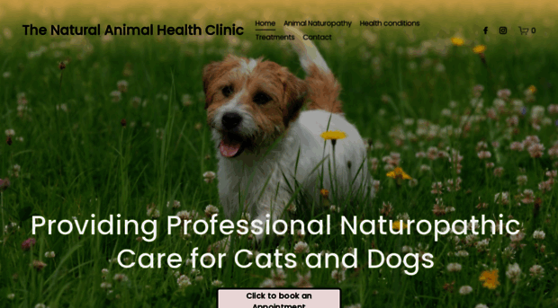 thenaturalanimalhealthclinic.co.nz