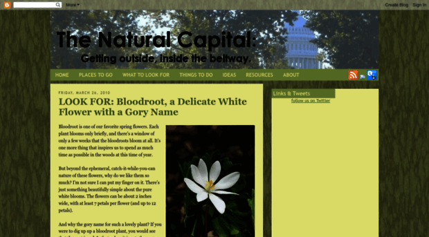 thenaturalcapital.blogspot.in