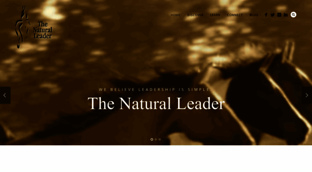 thenaturalleader.ca