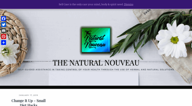 thenaturalnouveau.com