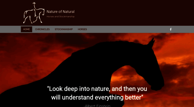 thenatureofnatural.com