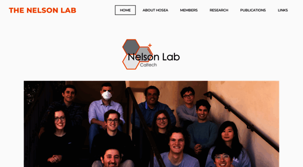 thenelsonlab.com