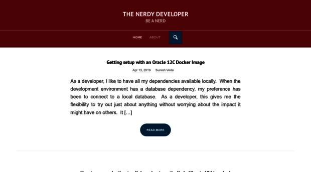 thenerdydeveloper.com