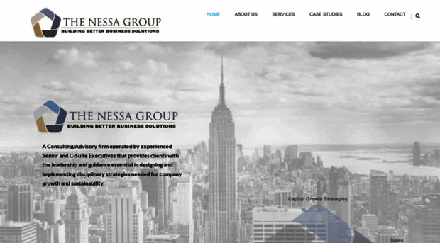 thenessagroup.net