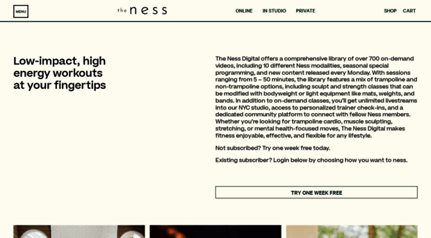 thenessdigital.com
