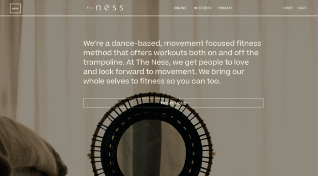 thenessnyc.com