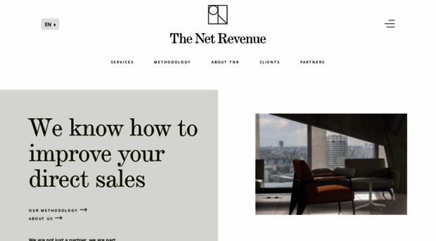 thenetrevenue.com