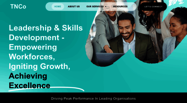 thenetworkingco.com