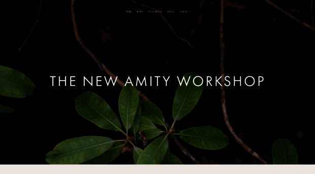 thenewamityworkshop.com