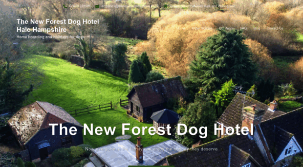 thenewforestdoghotel.co.uk