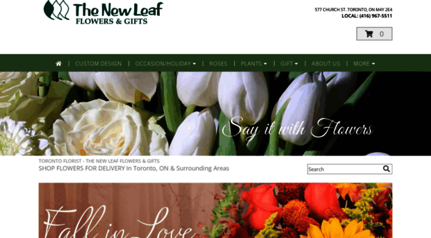 thenewleaftoronto.com