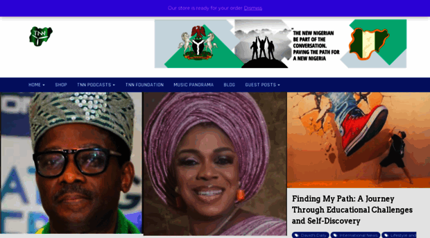 thenewnigerian.com
