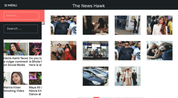 thenewshawk.com