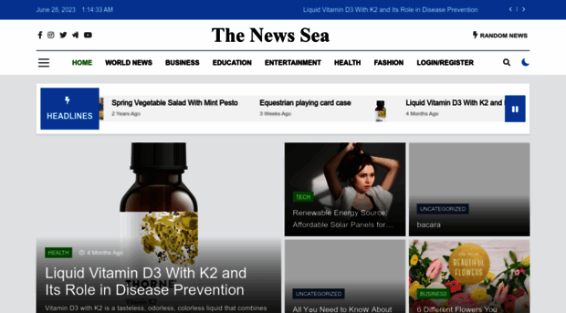 thenewssea.com