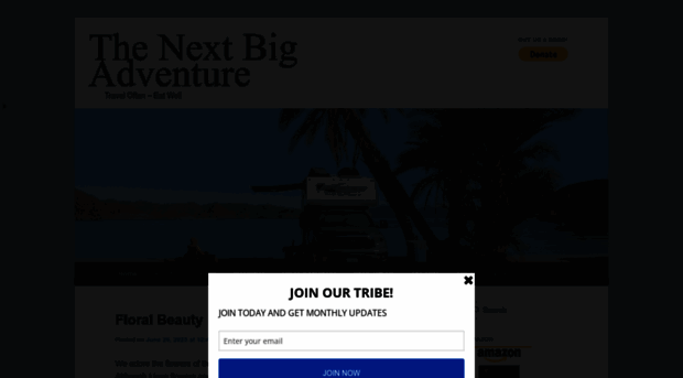 thenextbigadventure.net