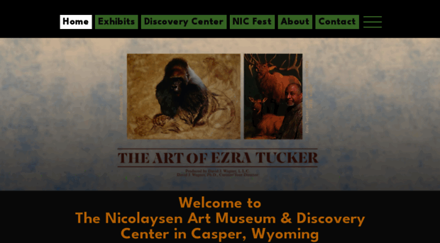 thenic.org