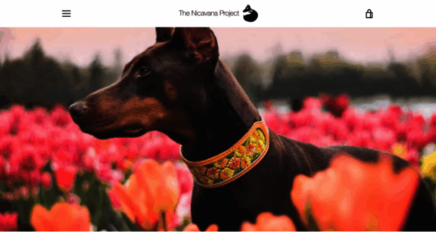 thenicavanaproject.com