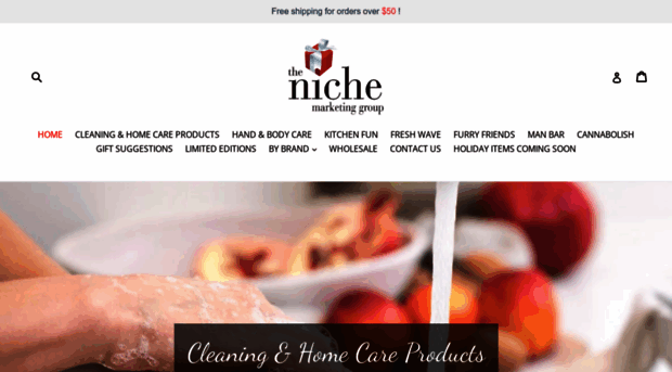 thenichemarketing.ca