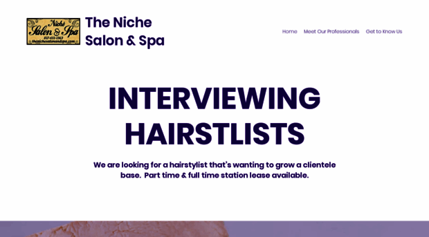 thenichesalonandspa.com