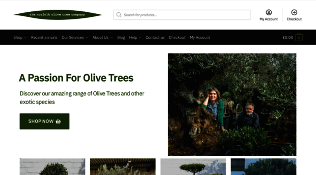 thenorfolkolivetreecompany.co.uk