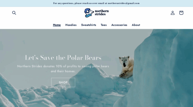 thenorthernstrides.com