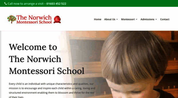 thenorwichmontessorischoolltd.co.uk