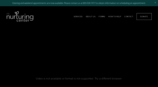 thenurturingcenter.org
