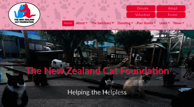 thenzcatfoundation.org.nz