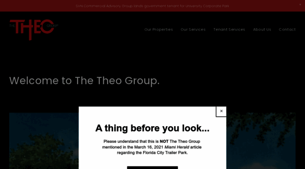 theo-group.com