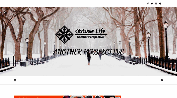 theobtuselife.com