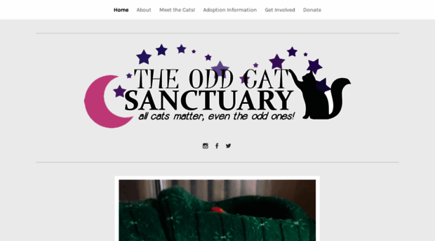 theoddcatsanctuary.com