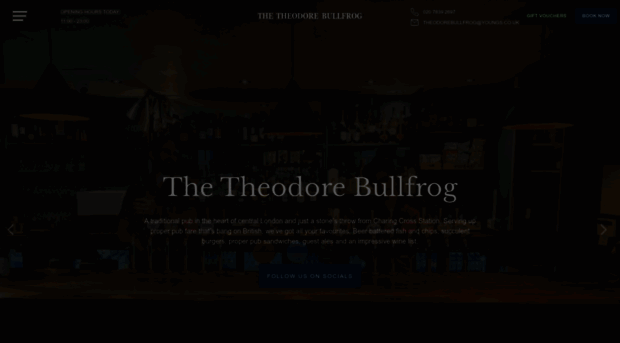 theodore-bullfrog.co.uk