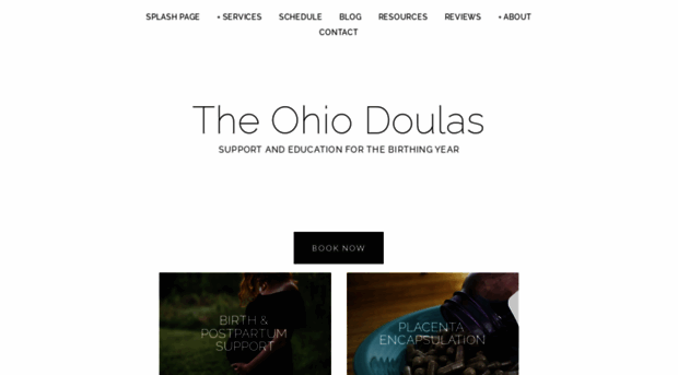 theohiodoula.com