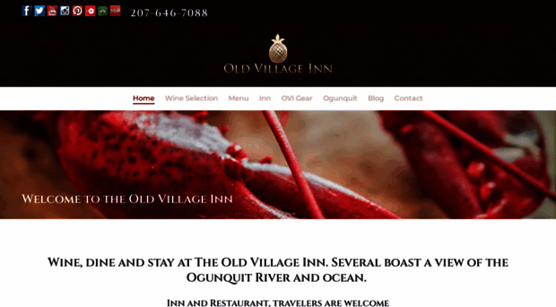 theoldvillageinn.net