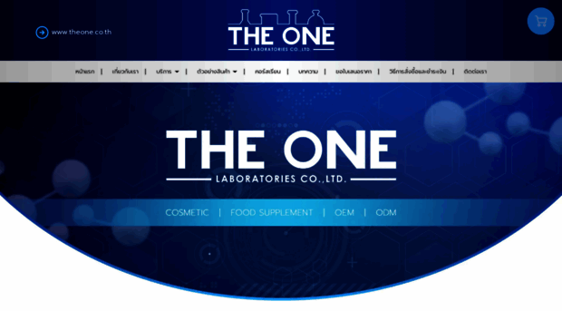 theone.co.th