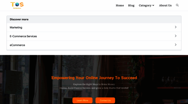 theonlinesucess.com