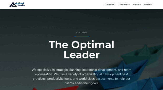 theoptimalleader.com