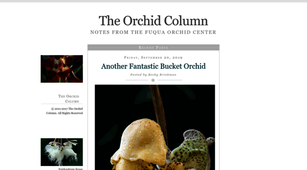 theorchidcolumn.com