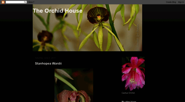 theorchidhouse-jyoti.blogspot.com