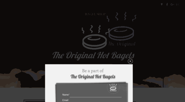 theoriginalhotbagel.com