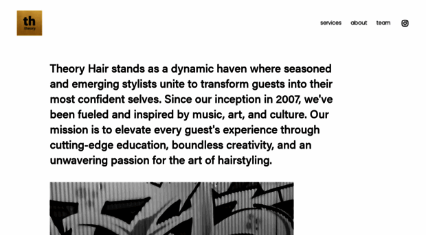 theoryhair.com