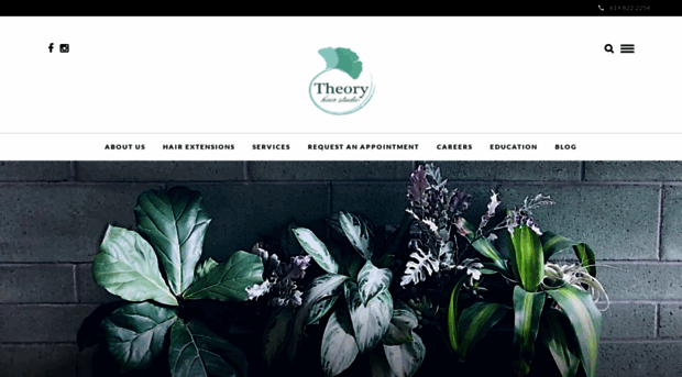 theoryhairstudio.com