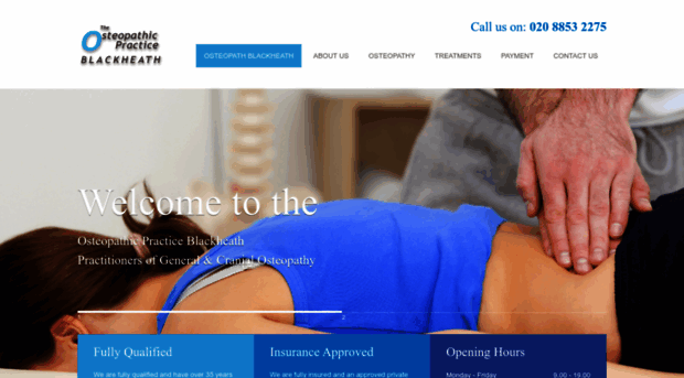 theosteopathicpractice.co.uk