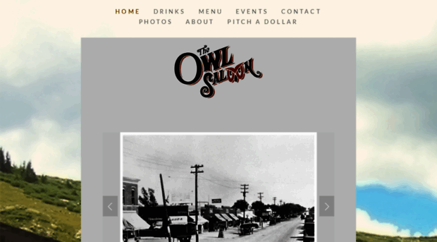 theowlsaloon.com