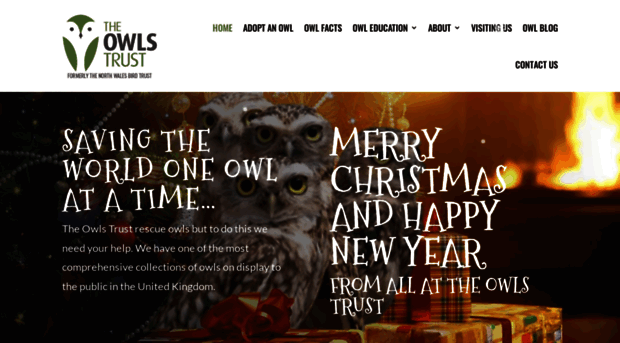 theowlstrust.org