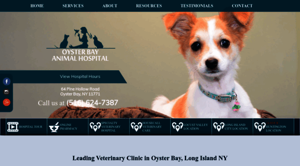 theoysterbayanimalhospital.com