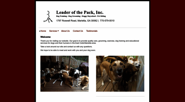 thepackleader.com